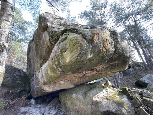 Image of Joyeux Grill (accroupi) (8a)